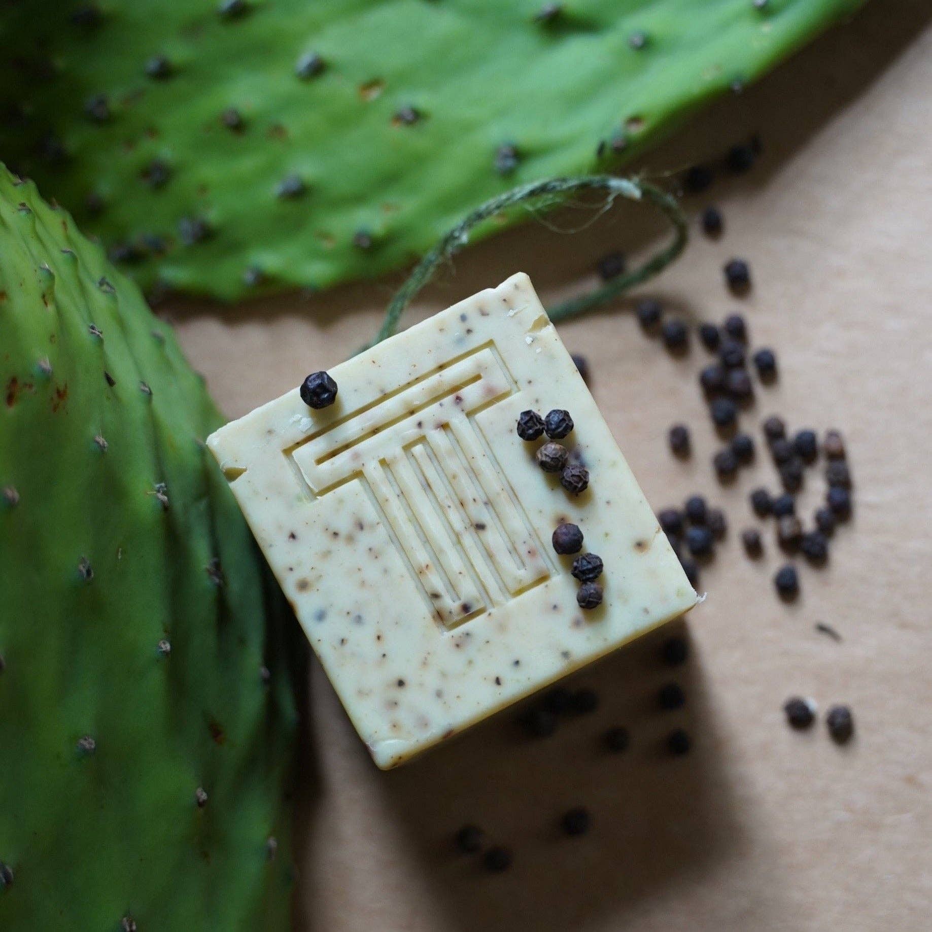 cactus cubes Svek Cube Small Pot White